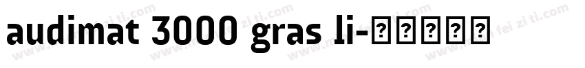 audimat 3000 gras li字体转换